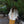 Load image into Gallery viewer, Climate Beneficial Wool Jacket