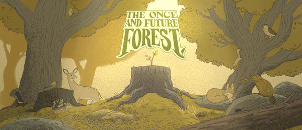The Once and Future Forest