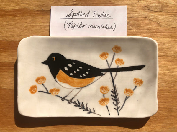 Spotted Towhee Plate