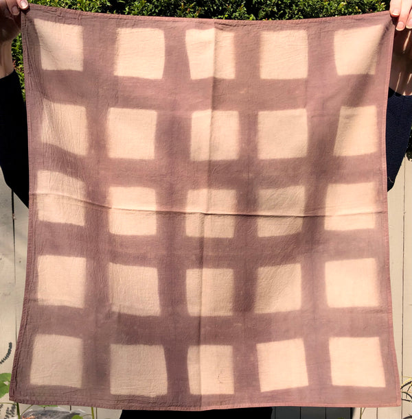 Sequoia & Black Walnut Bandana