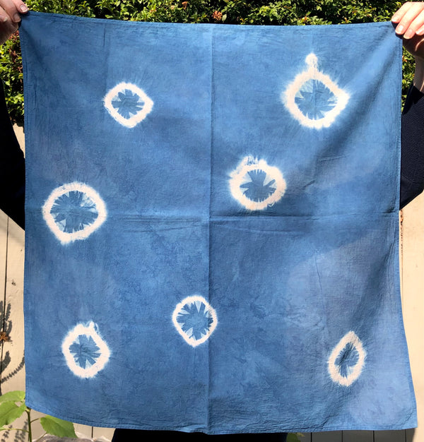 Indigo & Black Walnut Bandana
